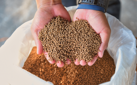 Phê duyệt Đề án Phát triển công nghiệp chế biến thức ăn chăn nuôi